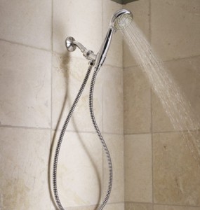 Cambria Glass Shower Head by Moen